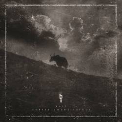 Bait : Cursed Among Saints